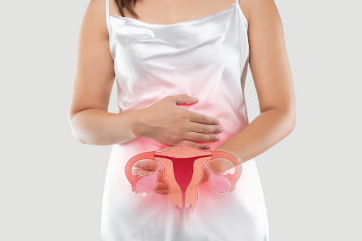 útero, menstruação, tpm, ciclo menstrual, fertilidade, fertilização, hormônios, estrogênios